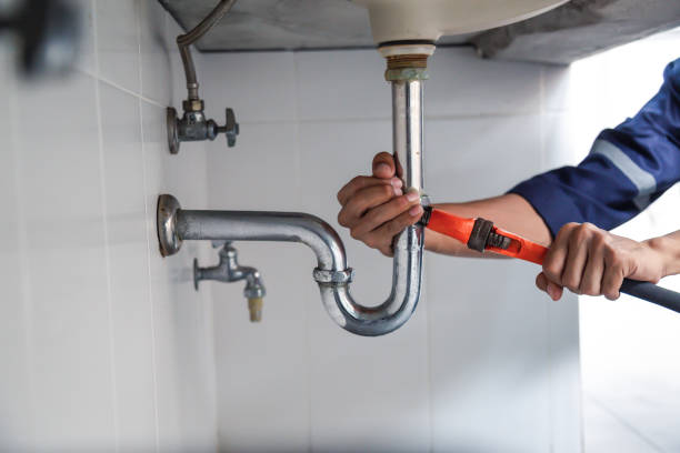 Best Plumbing Services Near Me  in Dagsboro, DE